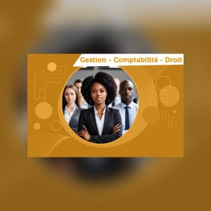 BUT Gestion des Entreprises et des Administrations parcours Contrôle de gestion et pilotage de la performance