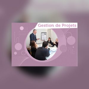 D.U. Gestion de projets