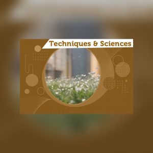 Hygiène et environnement : formations intra-entreprise