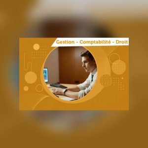 Master 2 Contrôle de gestion et audit organisationnel