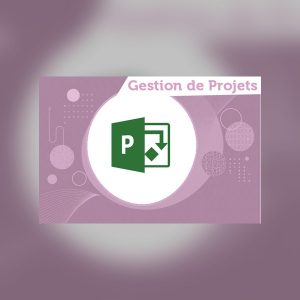 Planification et pilotage de projets avec MS Project